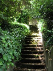 House Entrance Steps in Seattle