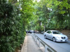 Leafy Rise near Hikawa