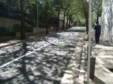 Tree-lined street near Cherry Rise