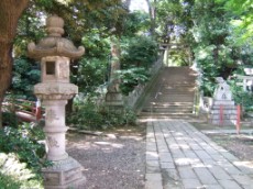 Hikawa Shrine, stairs