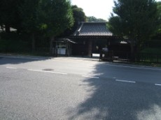 Shark Stream Bridge Gate