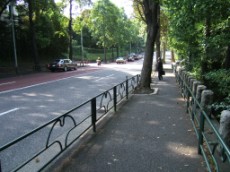 Shark Bridge Rise, top