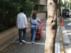 Glico Cart