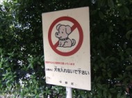 No Cute Dogs