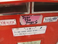 Dograffiti