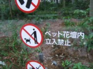 No Dogs in Flowers