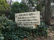 Shinjuku Central Park Dog Rules