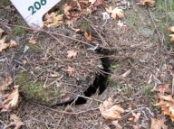 Ajar manhole cover