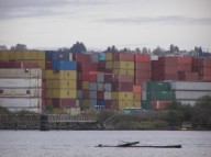 Duwamish containers