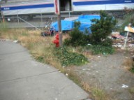 Homeless structure near old sidewalk