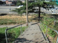 Yesler Steps