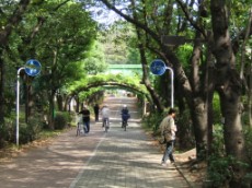 Abandoned Freight Underpass