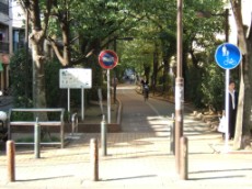 Kameido Greenway Park