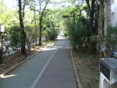 Kameido Greenway Park