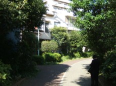 Bend in Kameido Greenway Park