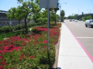 Terminal Sidewalk