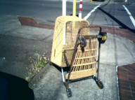 Safeway shopping cart