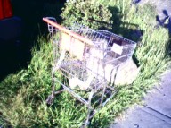 Safeway shopping cart